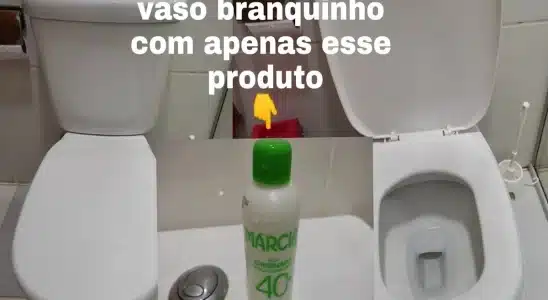 como limpar vaso sanitário