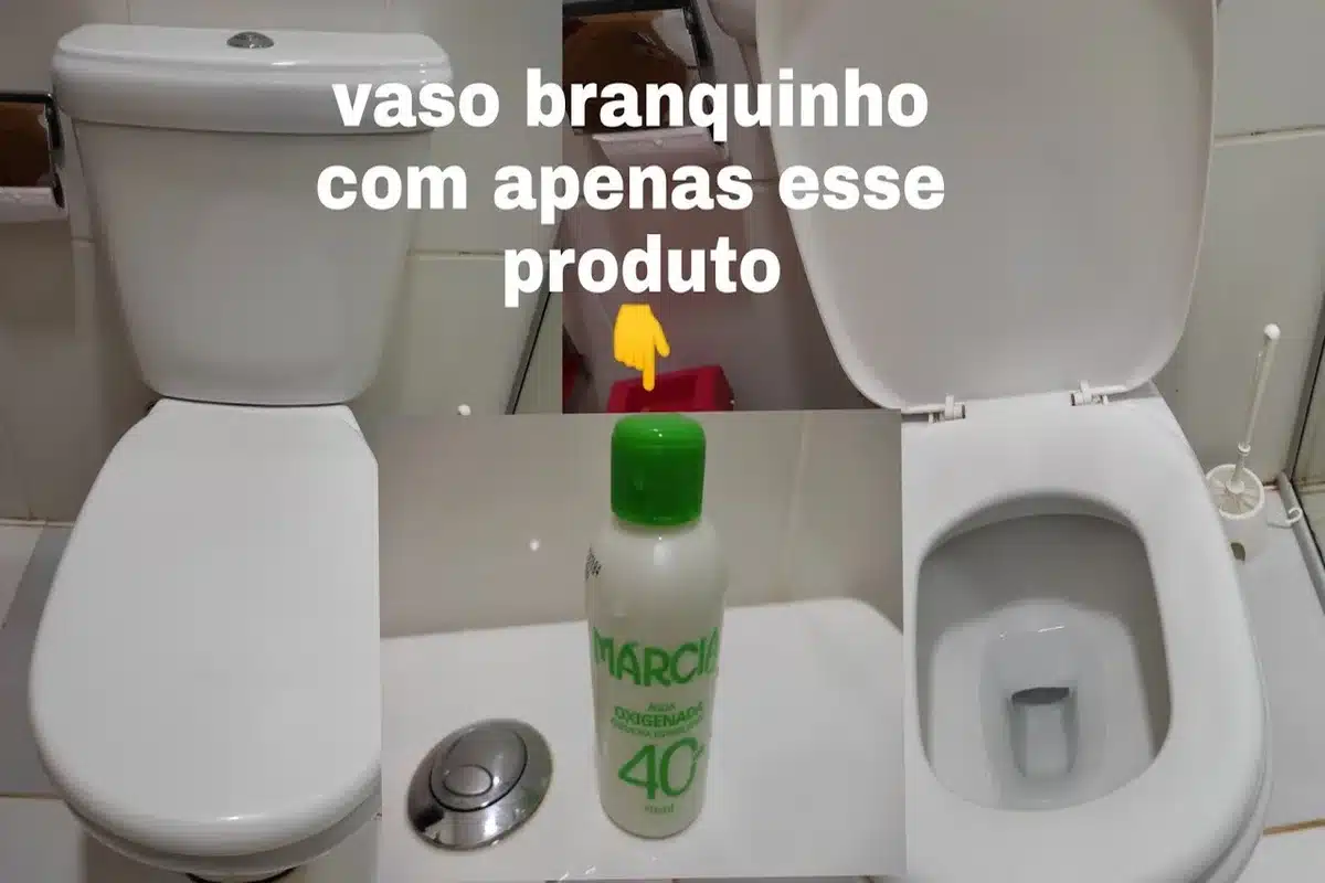 como limpar vaso sanitário