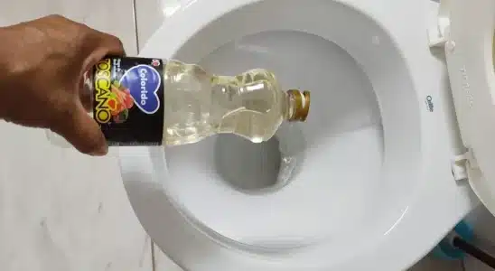 Dica para limpar banheiro: fica limpo e cheiroso em apenas 5 minutos 4 dica para limpar banheiro