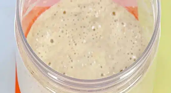 Como fazer fermento caseiro para pães e bolos: fica melhor que o comprado no mercado 2 fermento caseiro