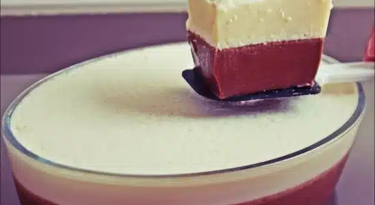 Sobremesa de liquidificador que tem dois sabores que todo mundo adora 3 sobremesa de liquidificador