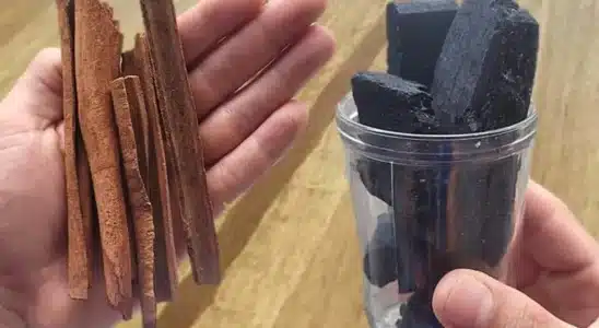 Adubação caseira para plantas: essa solução de liquidificador vai fazer milagres no jardim 1 adubação caseira para plantas