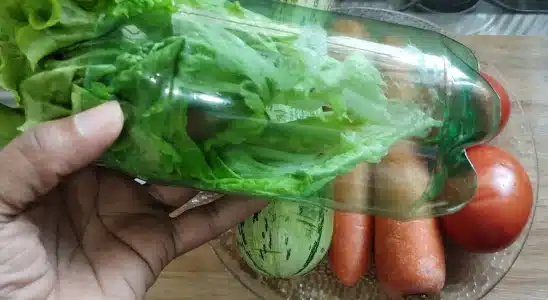 Como conservar hortaliças na geladeira: assim você come salada fresquinha a semana toda 3 como conservar hortaliças na geladeira