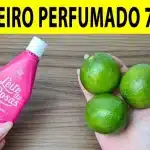 Como Deixar O Banheiro Perfumado