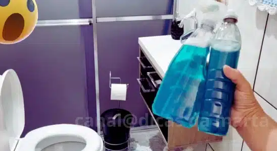 Como deixar o vaso branquinho e perfumado o dia todo: suas vizinhas vão enlouquecer 3 como deixar o vaso branquinho e perfumado