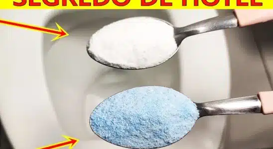 Como deixar o vaso sanitário branco e cheiroso parecendo banheiro de shopping 4 como deixar o vaso sanitário branco