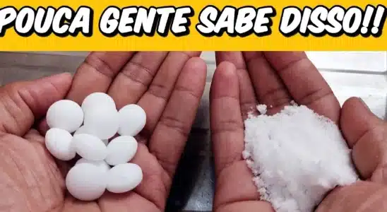 Como espantar as baratas de casa com uma dica que resolve o problema de vez 2 como espantar as baratas de casa