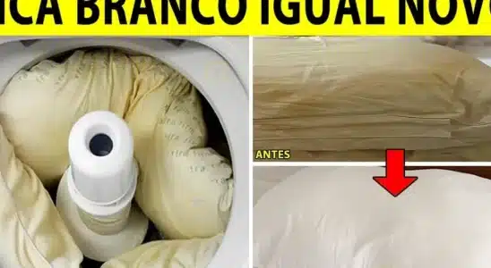 Como lavar travesseiro manchado de mofo: dica super fácil e fica parecendo novinho 1 como lavar travesseiro