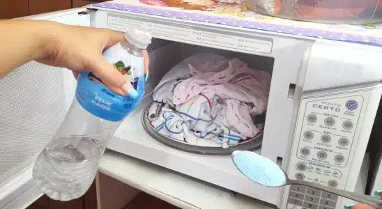 Como limpar pano de prato: aprendi a técnica mais fácil de todas 4 como limpar pano de prato