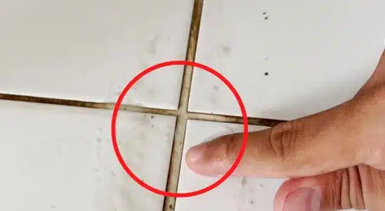 Como limpar rejunte encardido rapidinho com uma misturinha fácil e econômica 3 como limpar rejunte encardido