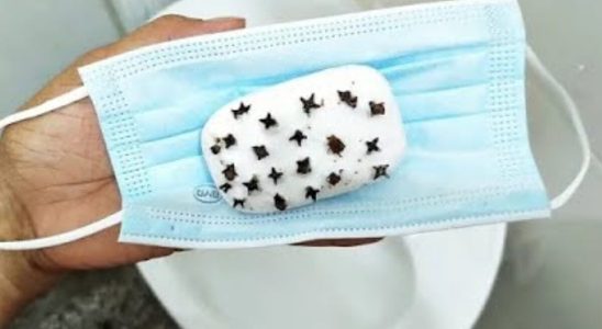 Como manter o banheiro cheiroso: dica que não falha nunca e muito fácil de fazer 2 como manter o banheiro cheiroso