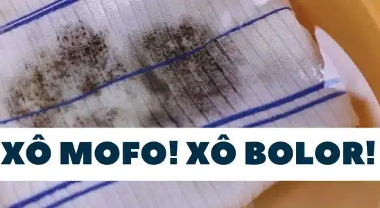Como tirar manchas de mofo e bolor de toalhas e panos de prato 4 como tirar manchas de mofo