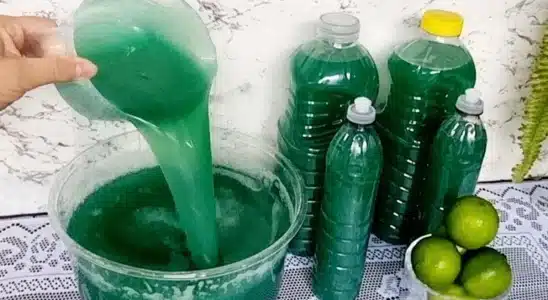 Detergente caseiro de limão: eficiente e ecológico para você fazer de um jeito bem fácil 1 detergente caseiro de limão