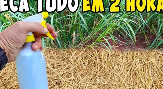 Como fazer um mata mato caseiro que vai te surpreender com o resultado 3 mata mato caseiro