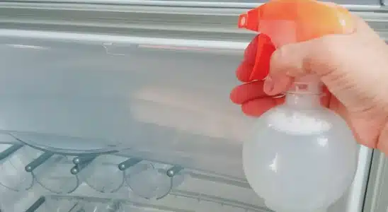 Misturinha para limpar geladeira: tira todo mofo e não deixa mau cheiro para trás 1 misturinha para limpar geladeira