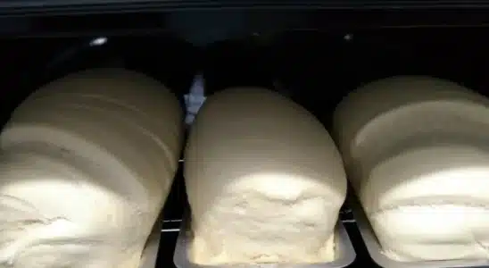 Pão caseiro grande macio e cresce bastante até no frio 2 pão caseiro