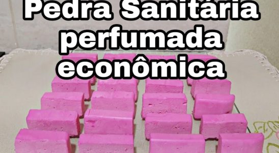 Pedra sanitária caseira: rende tanto que dá para usar o mês inteiro 3 pedra sanitária caseira