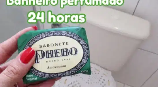 Como fazer um perfume para banheiro usando ingredientes que você já tem em casa 2 perfume para banheiro