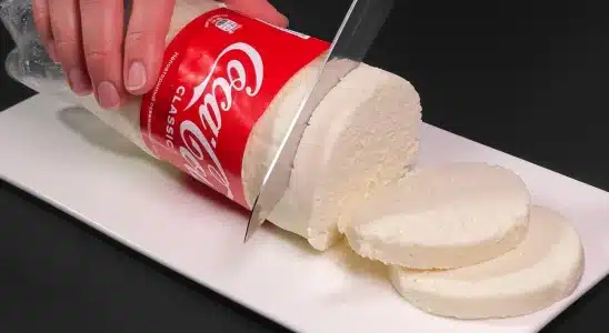 Como fazer queijo caseiro na garrafa de refrigerante em poucos minutos 1 queijo caseiro