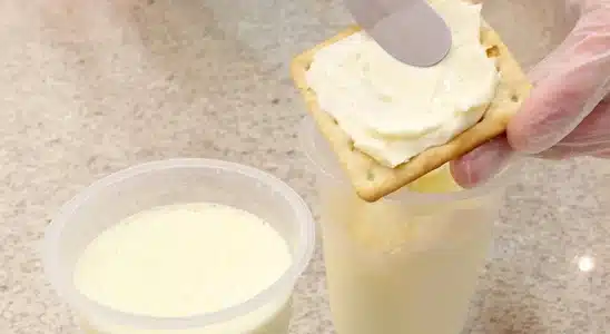 Requeijão cremoso caseiro muito fácil de fazer e você não vai mais querer ficar sem ele 1 requeijão cremoso caseiro