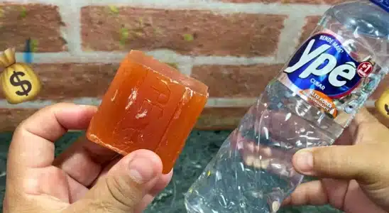 Sabão líquido caseiro: parei de gastar no mercado depois que aprendi essa receita 3 sabão líquido caseiro