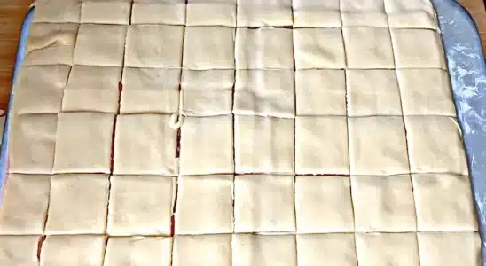 Salgado com massa de pastel: muito fácil que dá para fazer vários de uma vez só 2 salgado com massa de pastel