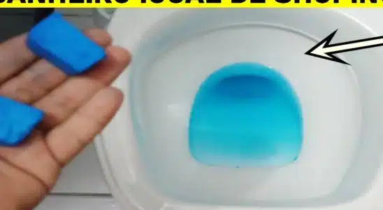 Truque caseiro para banheiro: vai ficar parecendo que sanitário de shopping de tão limpo e cheiroso 2 truque caseiro para banheiro