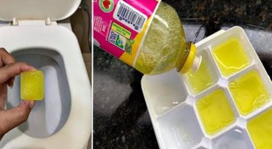 Como deixar o banheiro cheiroso o dia todo com a dica mais barata e econômica de todas 4 como deixar o banheiro cheiroso