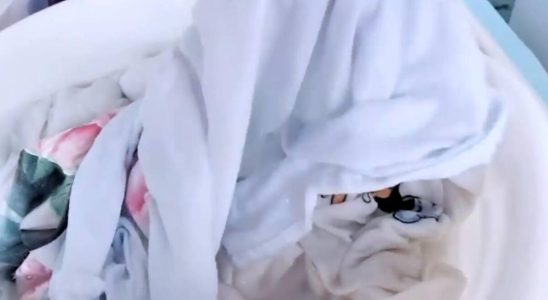 Como desencardir roupa amarelada: uma diarista me ensinou uma dica sensacional 4 como desencardir roupa amarelada