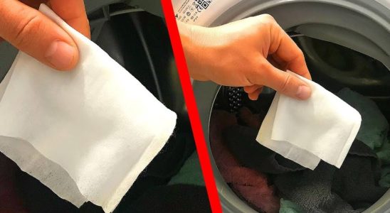 Como evitar pelos nas roupas na hora da lavagem: dica fácil e muito barata de fazer 4 como evitar pelos nas roupas