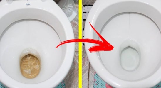 Como lavar vaso sanitário encardido e manchado: recupera e deixa tudo novinho 4 como lavar vaso sanitário encardido