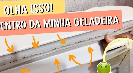 Como limpar borracha da geladeira e retirar o mofo e sujeira de um jeito bem fácil 1 como limpar borracha da geladeira