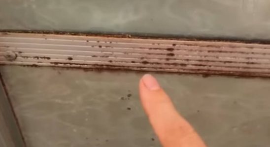 Como limpar box encardido com um tira limo caseiro que funciona de verdade 1 como limpar box encardido