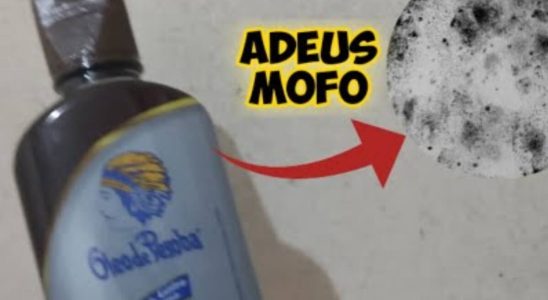 Como tirar mofo da parede: fica limpinha e sem mau cheiro 1 como tirar mofo da parede
