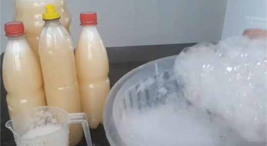 Detergente caseiro 2 em 1: rende muito e espuma bastante na hora de lavar louça 4 detergente caseiro 2 em 1