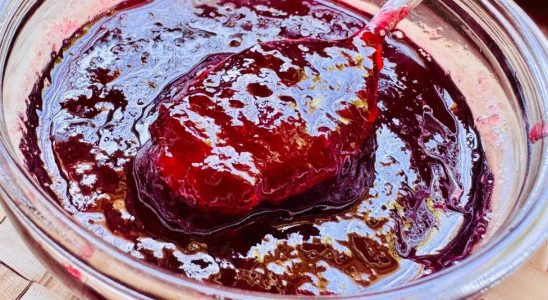 Geleia de jabuticaba perfeita que não desanda e não fica muito doce 2 geleia de jabuticaba
