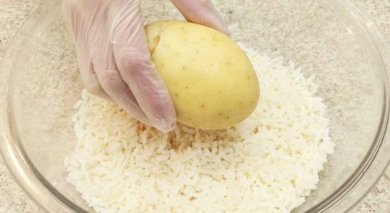 Massa de salgado com batata e arroz: receita fácil que vai te pegar de surpresa 1 massa de salgado com batata e arroz