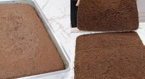Pão de ló de chocolate: veja como eu faço para ele não quebrar na hora de rechear 4 pão de ló de chocolate