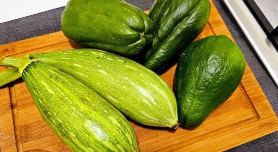 Receita de chuchu que aprendi a fazer para o almoço e adorei o resultado 4 receita de chuchu
