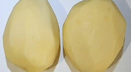 cuca gaúchacuca gaúcha