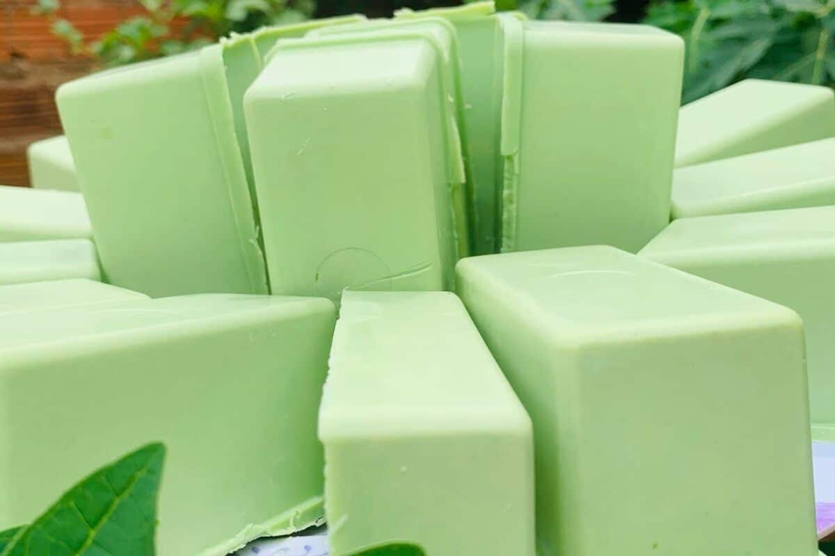 sabão caseiro com folha de mamão