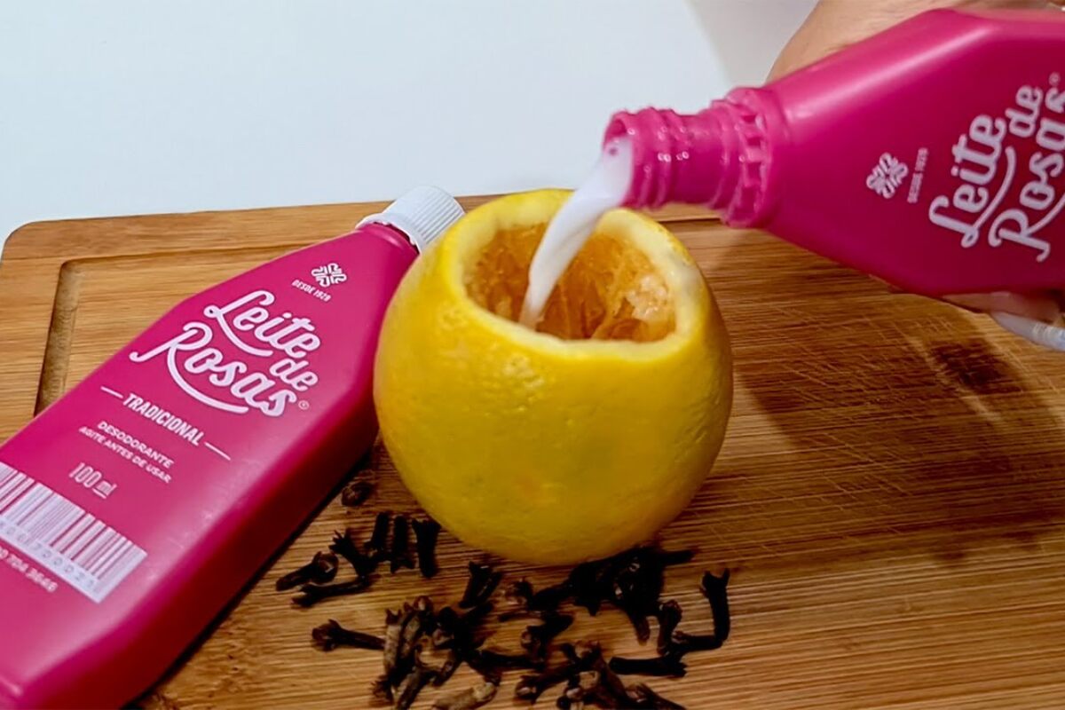 Aromatizante caseiro muito fácil de fazer que você vai adorar na sua casa 81 aromatizante caseiro