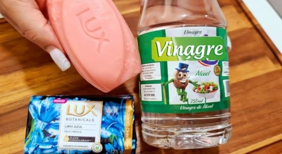 limpador multiuso caseiro