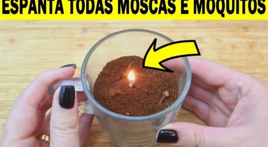 repelente de mosquitos caseiro