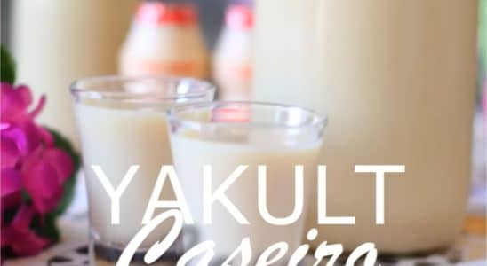 Yakult caseiro