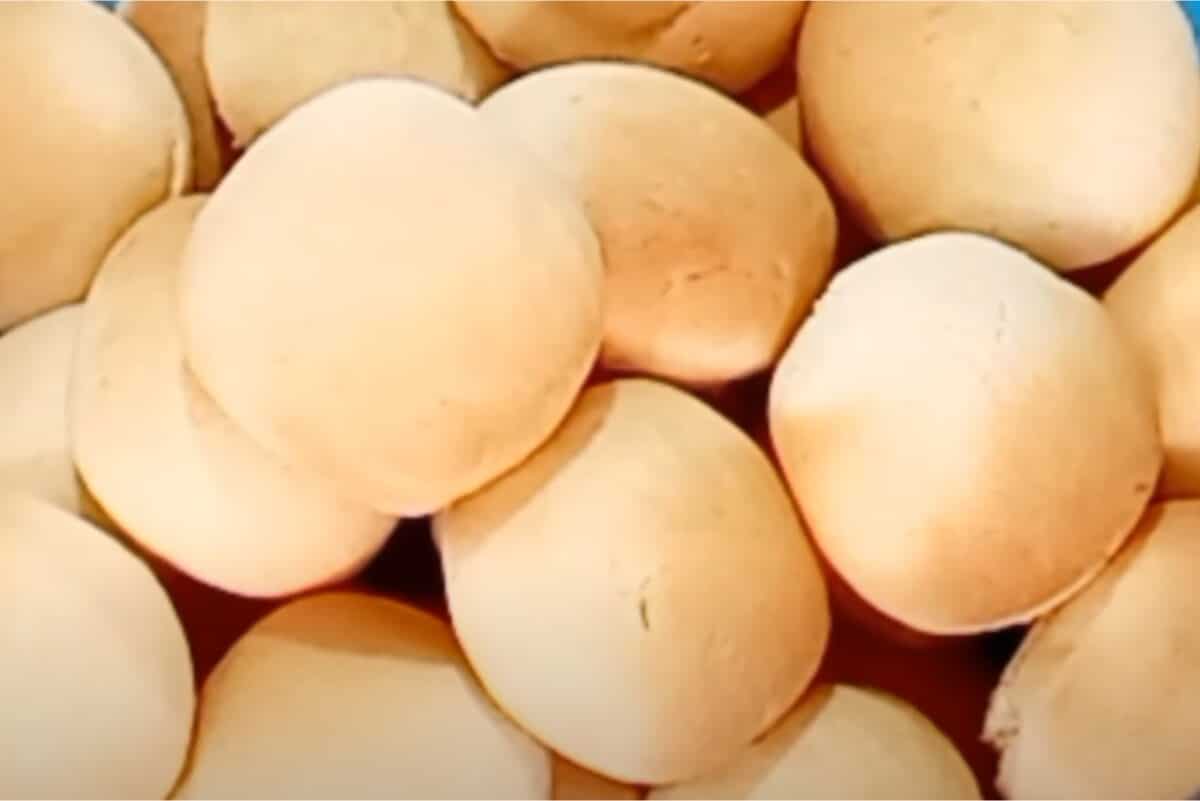 Bolacha de creme de leite que desmancha na boca e vai poucos ingredientes 129 bolacha de creme de leite