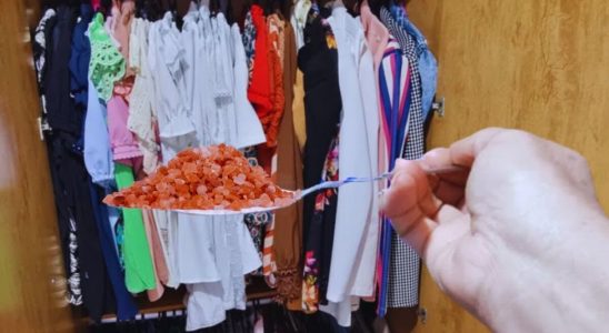 como tirar mofo do guarda-roupas