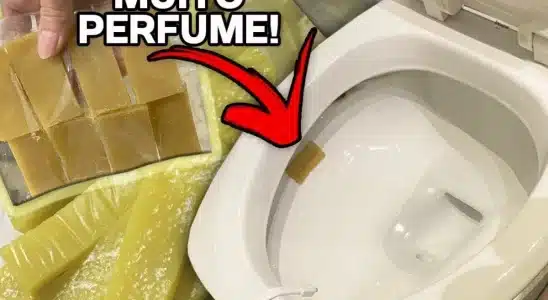 pastilha sanitária caseira