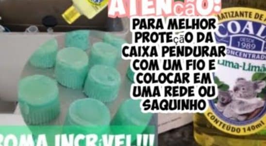 pedra sanitária caseira