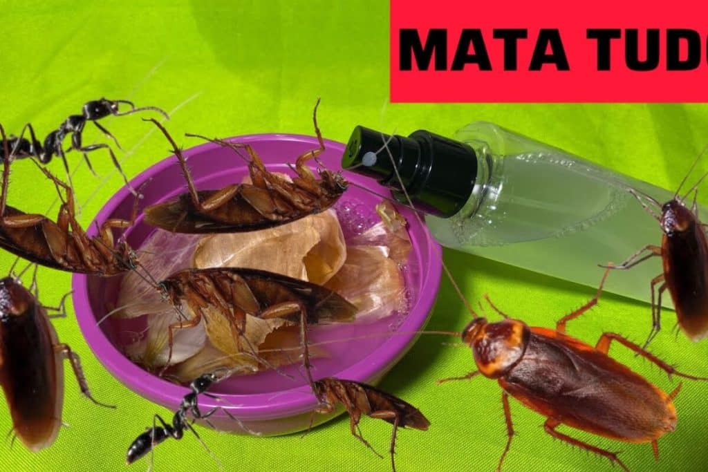 como acabar com os insetos